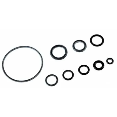 O-ring kit