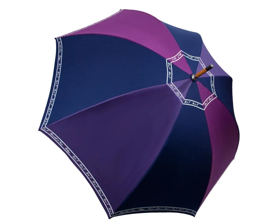 Ombrello a spicchi viola e blu
