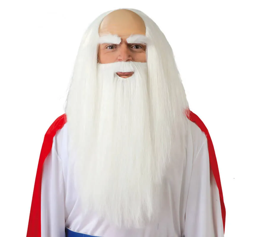 Parrucca e matusalen barba